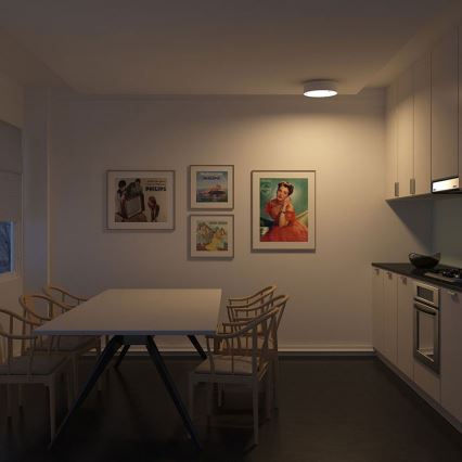 Philips - Deckenleuchte 2xE27/23W/230V