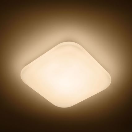 Philips 31110/31/P0 - LED Deckenleuchte MAUVE 1xLED/17W/230V