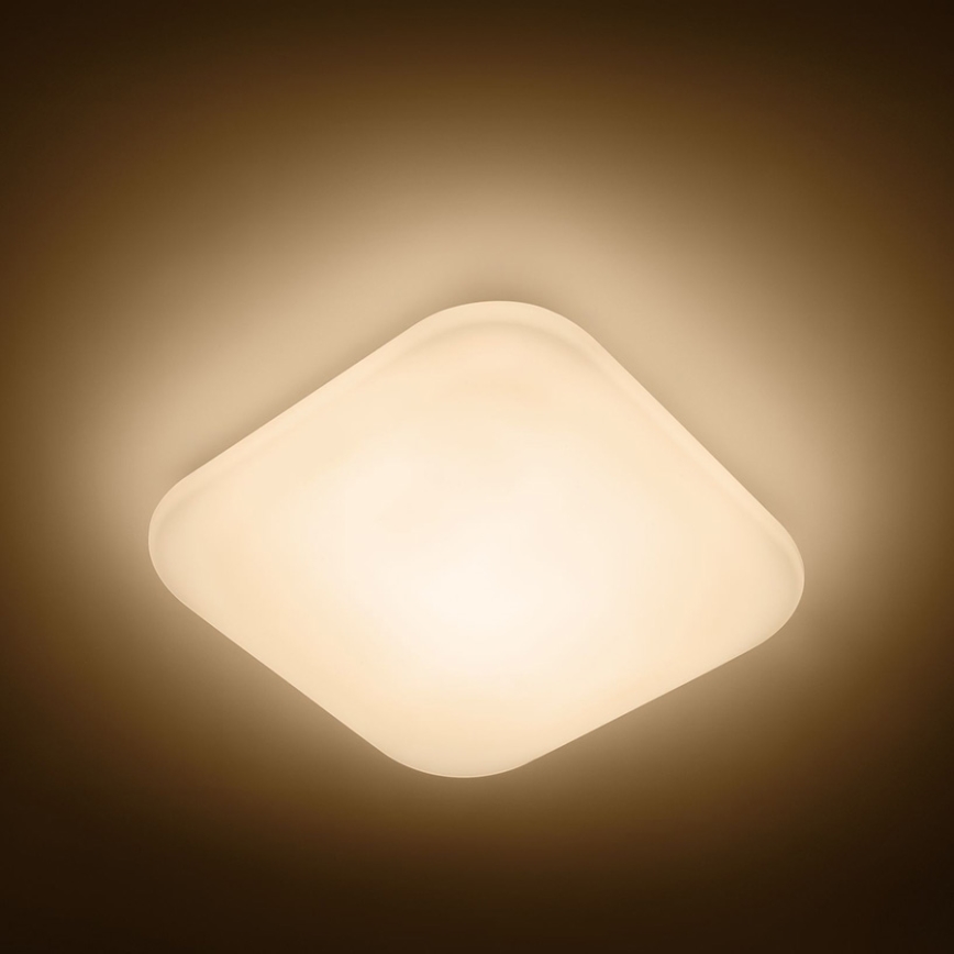 Philips 31110/31/P0 - LED Deckenleuchte MAUVE 1xLED/17W/230V