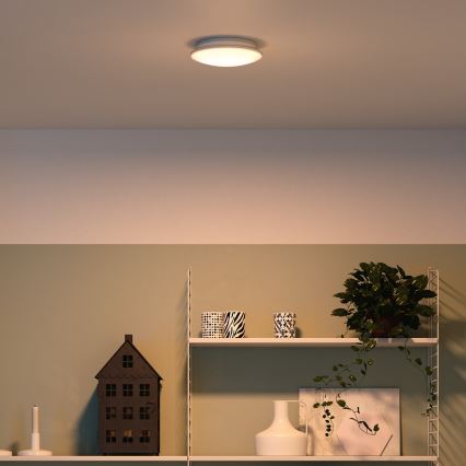 Philips 32096/31/P0 - Deckenleuchte MYLIVING MAUVE 4xLED/2,5W/230V