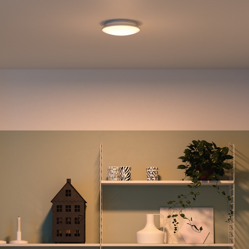 Philips 32096/31/P0 - Deckenleuchte MYLIVING MAUVE 4xLED/2,5W/230V