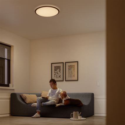 Philips 32809/31/P0 - LED dimmbare Deckenbeleuchtung CANAVAL LED/18W/230V
