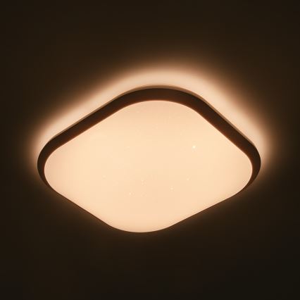 Philips 32810/31/P0 - Plafoniera LED dimmerabile CANAVAL LED/18W/230V