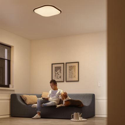 Philips 32810/31/P0 - Plafoniera LED dimmerabile CANAVAL LED/18W/230V