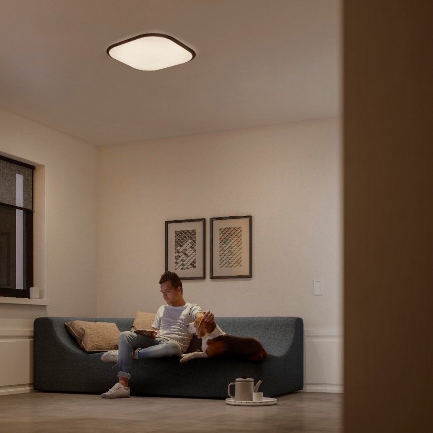 Philips 32810/31/P3 - Plafonnier LED à intensité modulable CANAVAL LED/18W/230V