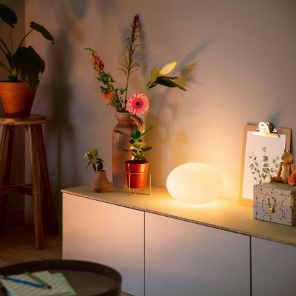 Philips 40904/31/P9 - Lampe de table LED HUE FLOURISH 1xE27/9,5W/230V