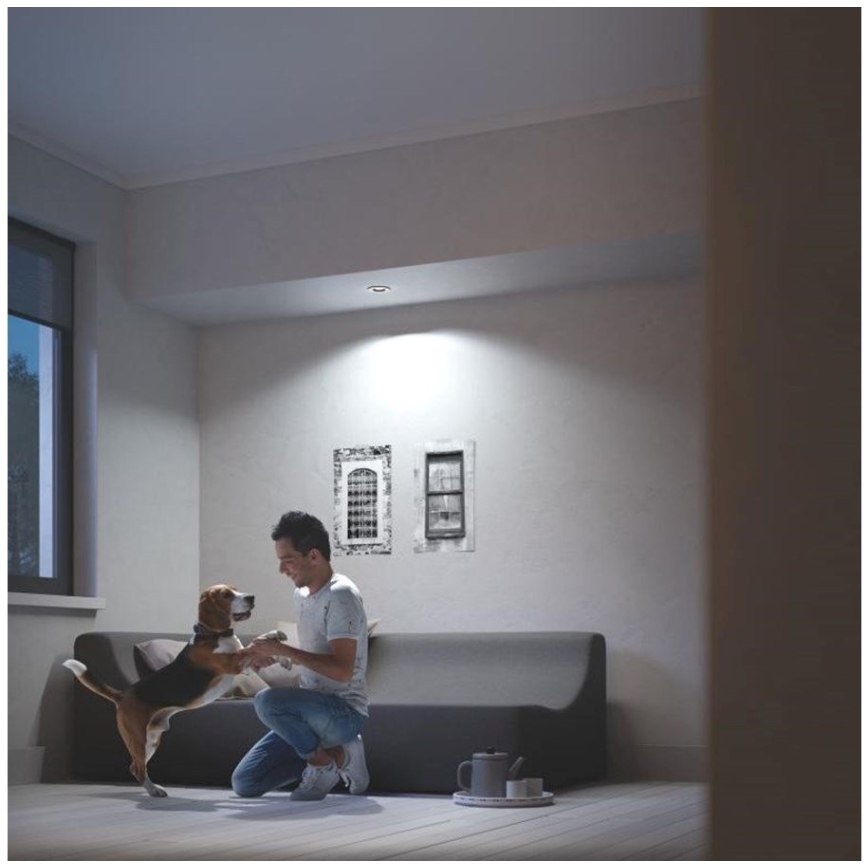 Philips 50411/31/P9 - Lampada LED dimmerabile MILLISKIN 1xGU10/5W/230V