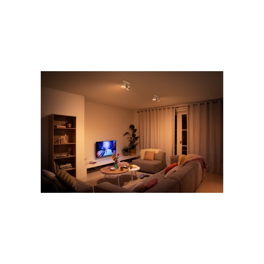 Philips 50602/31/P0 - Luce Spot a LED BUKKO 2xLED/4,5W/230V