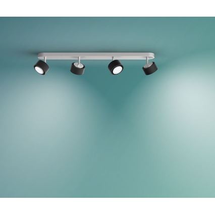 Philips 50654/30/P0 - Luce Spot a LED FERANO 4xLED/4,3W/230V