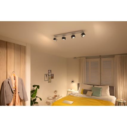 Philips 50654/30/P0 - Luce Spot a LED FERANO 4xLED/4,3W/230V