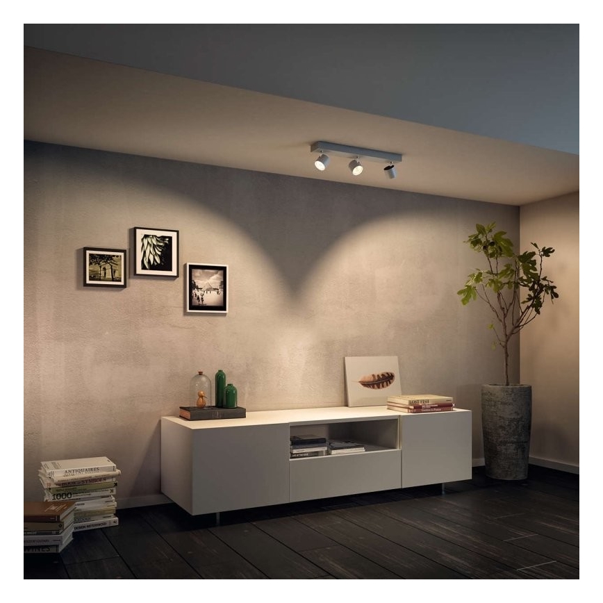 Philips 56243/31/P0 - Spot à intensité variable LED STAR 3xLED/4,5W/230V