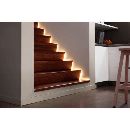 Philips 70102/31/P2 - Striscia LED MYLIVING LIGHTSTRIP 5m LED/24W/230V