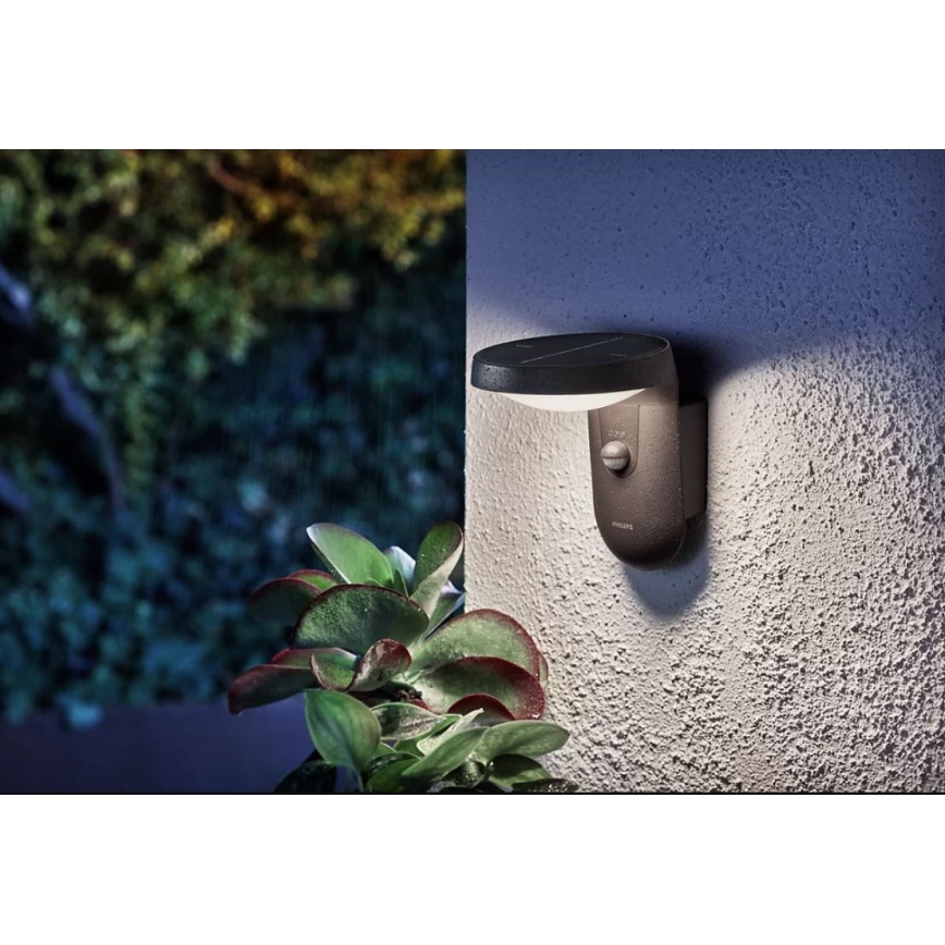 Philips - Applique LED solare con sensore LED/1,2W/4V 4000K IP44