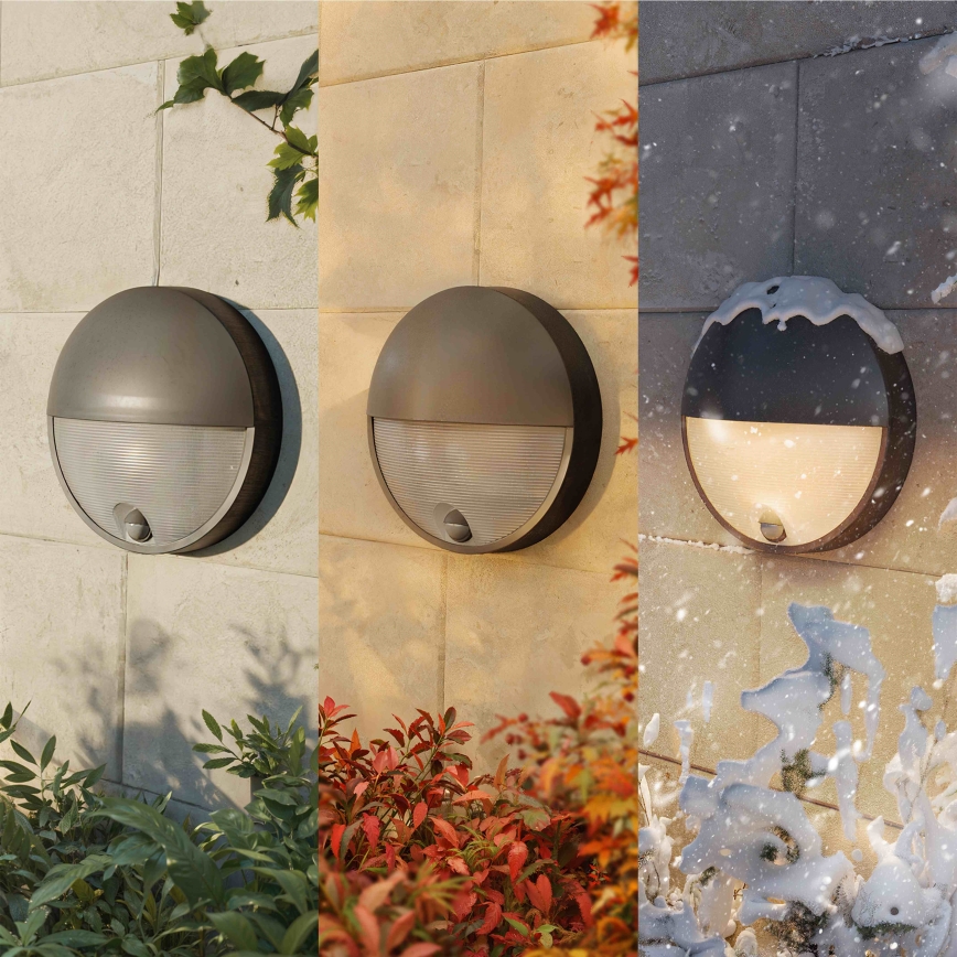 Philips - Applique murale LED d'extérieur avec détecteur CAPRICORN LED/4,3W/230V IP44