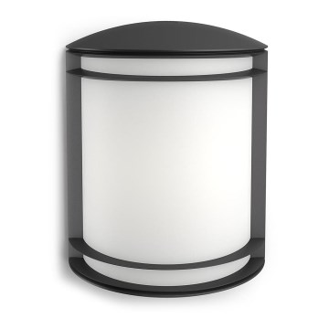 Philips - Außenwandleuchte LED/6W/230V IP44