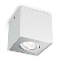 Philips - Faretto LED dimmerabile LED/4,5W/230V