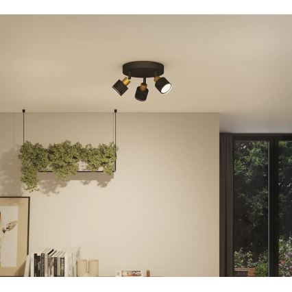 Philips - Faretto NIALL 3xGU10/5W/230V nero/ottone