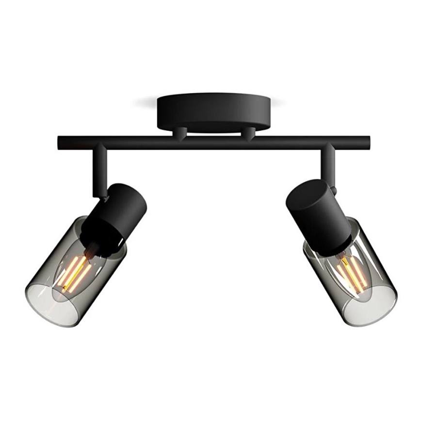 Philips - Faretto PALMS 2xE14/25W/230V