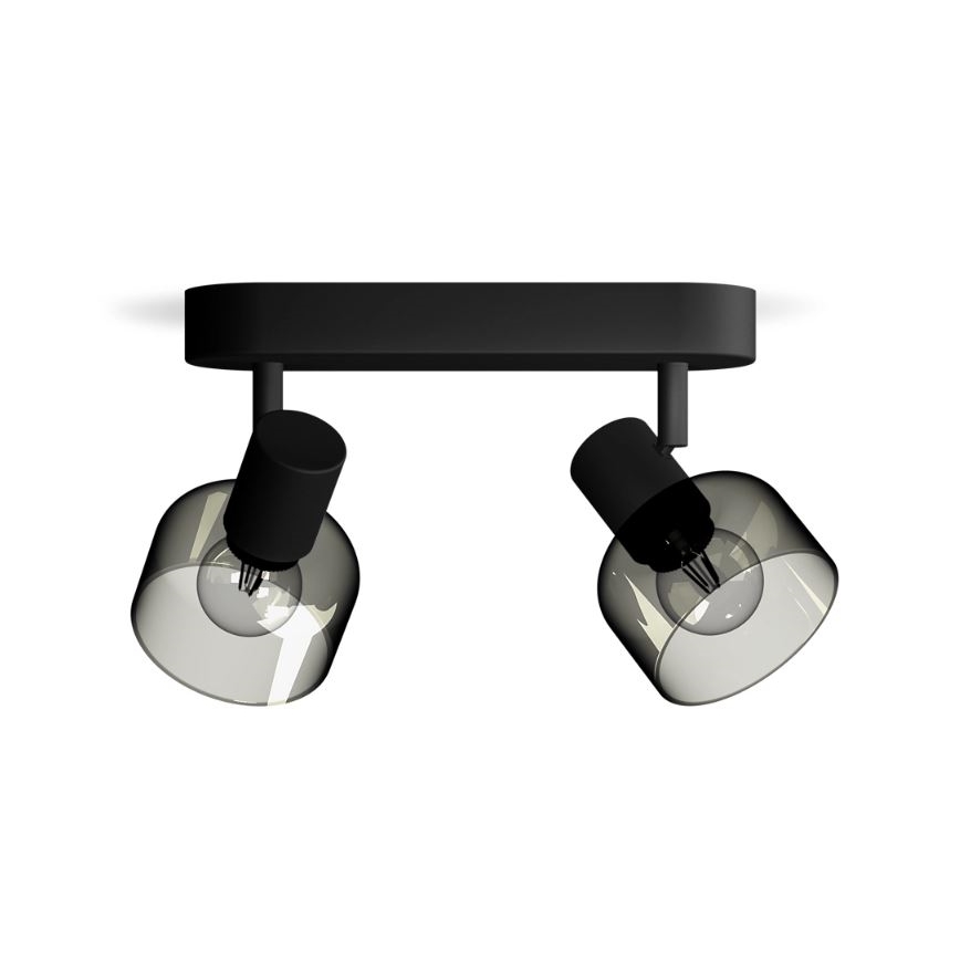 Philips - Faretto SLEET 2xE14/25W/230V