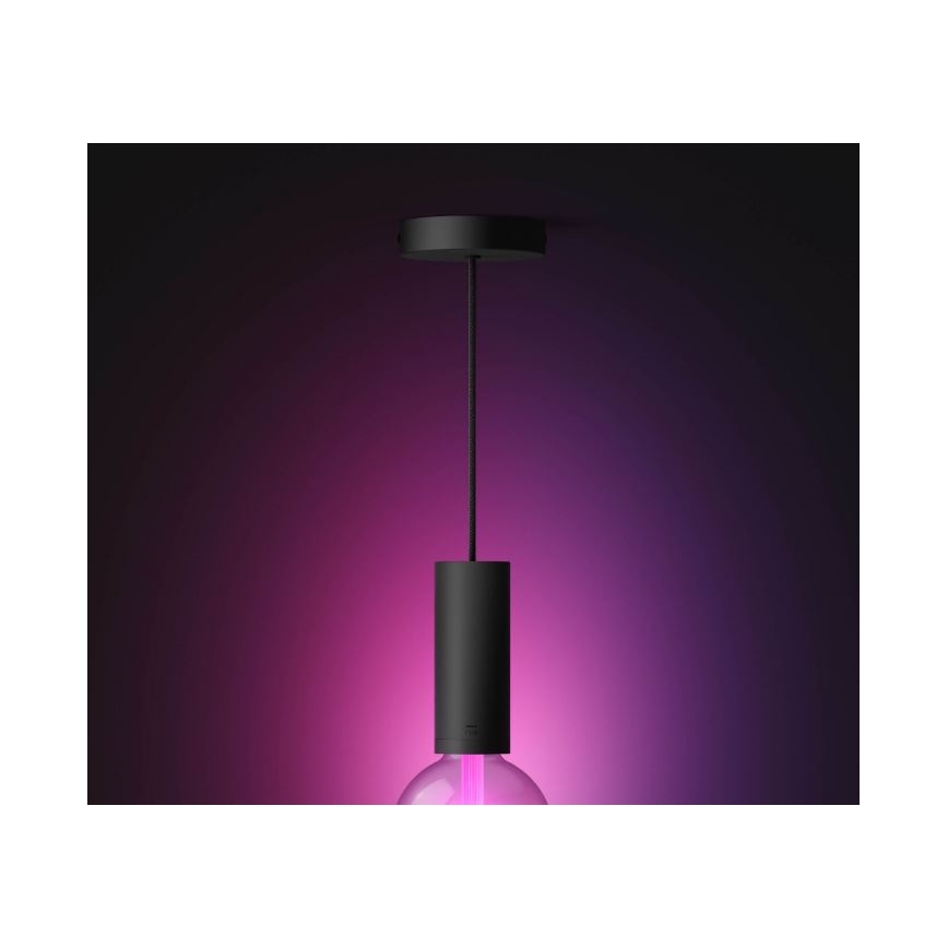 Philips - Lampadario a sospensione con filo Hue GUIDE 1xE27/60W/230V