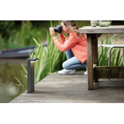 Philips - Lampe extérieure BUSTAN LED/3,8W/230V 2700K 40 cm IP44