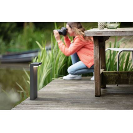 Philips - Lampe extérieure BUSTAN LED/3,8W/230V 2700K 77 cm IP44