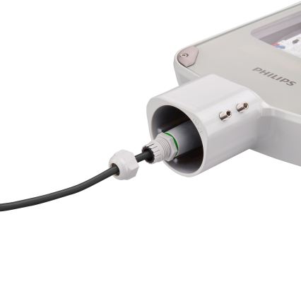 Philips - Lampione stradale LED CORELINE MALAGA LED/37W/230V 4000K IP65