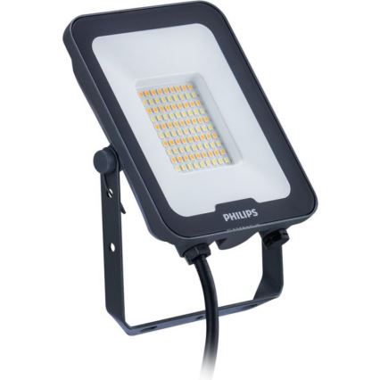 Philips - LED-Strahler LEDINAIRE ALL-IN LED/30W/230V 3000/4000/6500K IP65