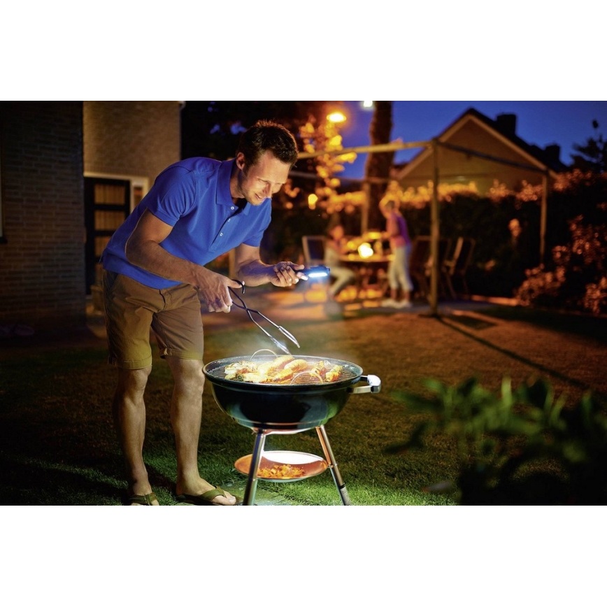 Philips LPL18B1 - Lampada tecnica LED 5xLED/1,3W/3xAAA IP54