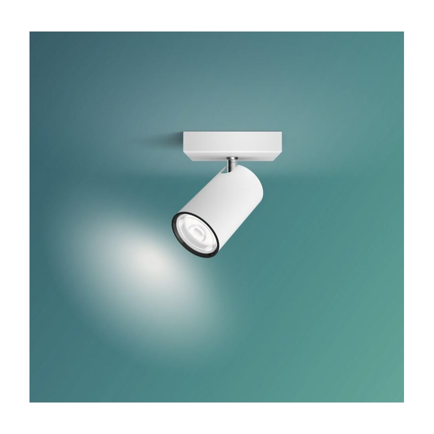 Philips - Luce Spot KOSIPO 1xGU10/5,5W/230V bianco