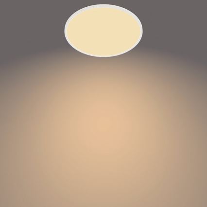 Philips - Luminaire à intensité variable LED extérieur SUPERSLIM SCENE SWITCH LED/15W/230V IP54 blanc