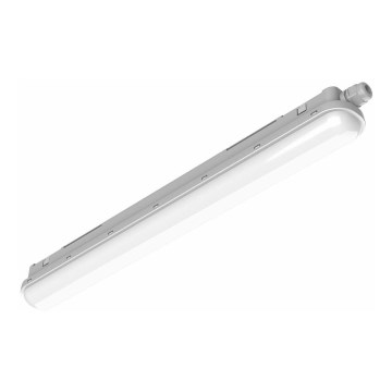 Philips Pila - réglette LED technique LED/60W/230V 150 cm IP65