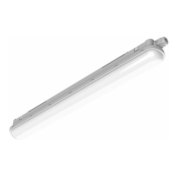 Philips Pila - Technische LED-Röhrenleuchte LED/40W/230V 120 cm IP65