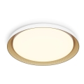 Philips - Plafoniera LED dimmerabile PEBBLO SCENE SWITCH LED/10W/230V 2700K bianco