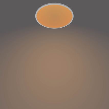 Philips - Plafonnier LED dimmable LED/15W/230V 2700K