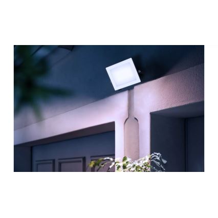 Philips - Riflettore LED LOIS LED/30W/230V IP65 5000K