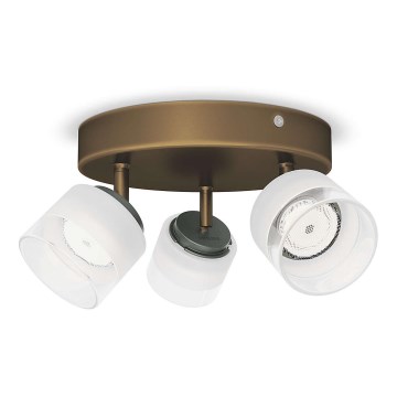 Philips - Spot 3xLED/4W/230V