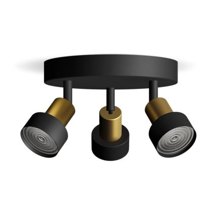 Philips - Strahler CONDUIT 3xGU10/5W/230V schwarz/Messing