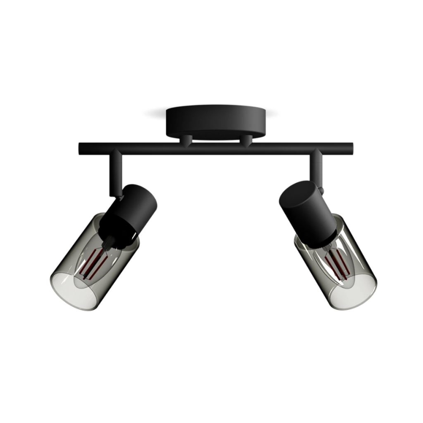 Philips - Strahler PALMS 2xE14/25W/230V