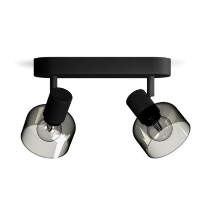 Philips - Strahler SLEET 2xE14/25W/230V