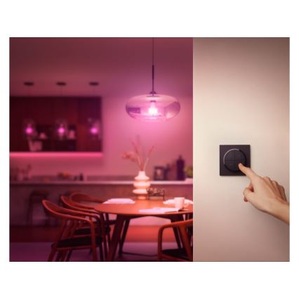 Philips - Télécommande avec interrupteur Hue TAP 1xCR2032 noire