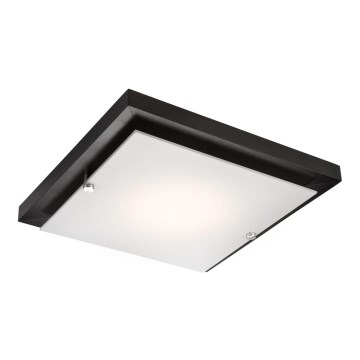 Plafoniera 1xE27/60W/230V pino - FSC certificato