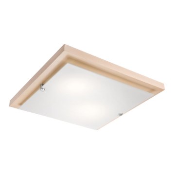 Plafoniera 2xE27/60W/230V - FSC certificato