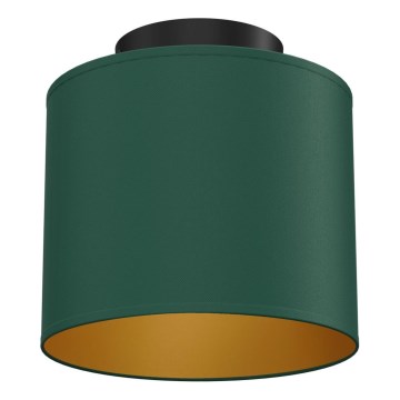 Plafoniera ARDEN 1xE27/15W/230V Ø 18 cm verde