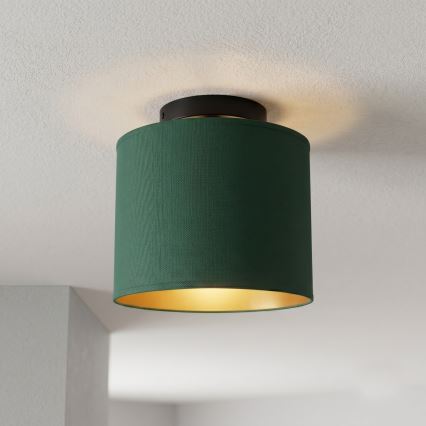 Plafoniera ARDEN 1xE27/15W/230V Ø 18 cm verde