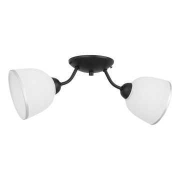 Plafoniera AVIA 2xE27/60W/230V