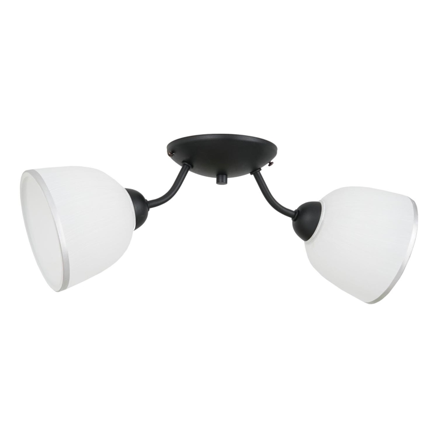 Plafoniera AVIA 2xE27/60W/230V