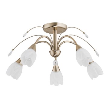 Plafoniera BASTER 5xE14/10W/230V dorata