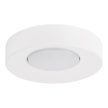 Plafoniera BROS 1xGX53/12W/230V bianco