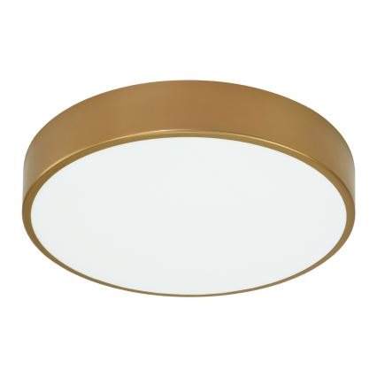 Plafoniera CLEO 4xE27/24W/230V d. 50 cm d'oro